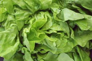 Ktora salata jest najzdrowsza